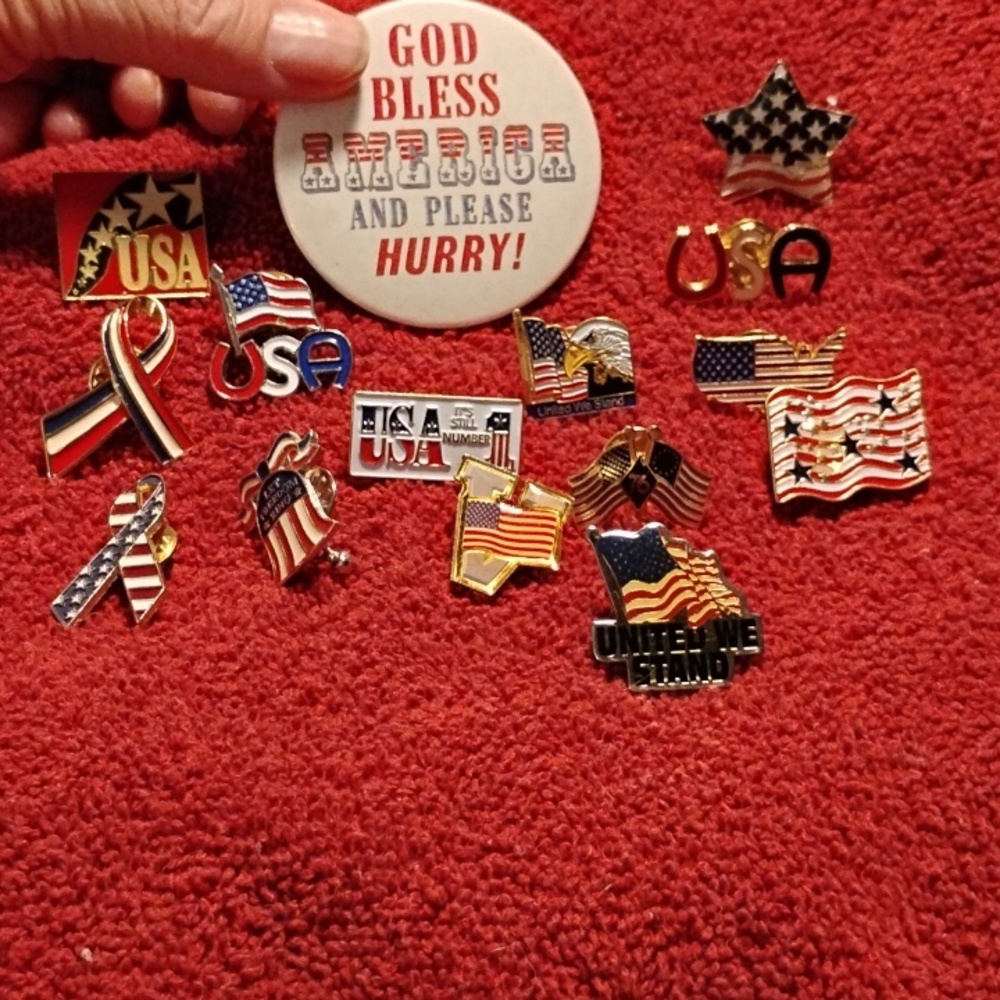 USA Pin Lot